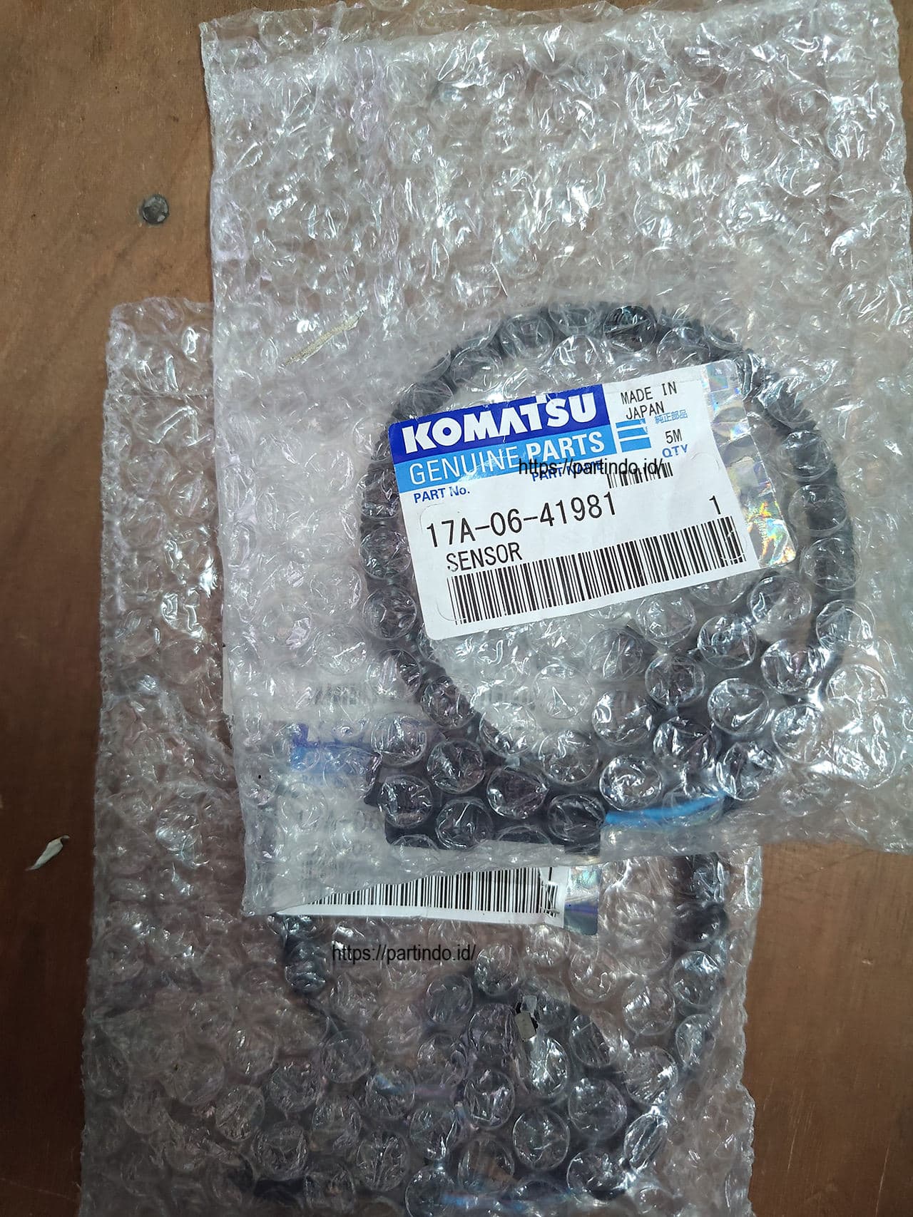 17A-06-41981 17A0641981